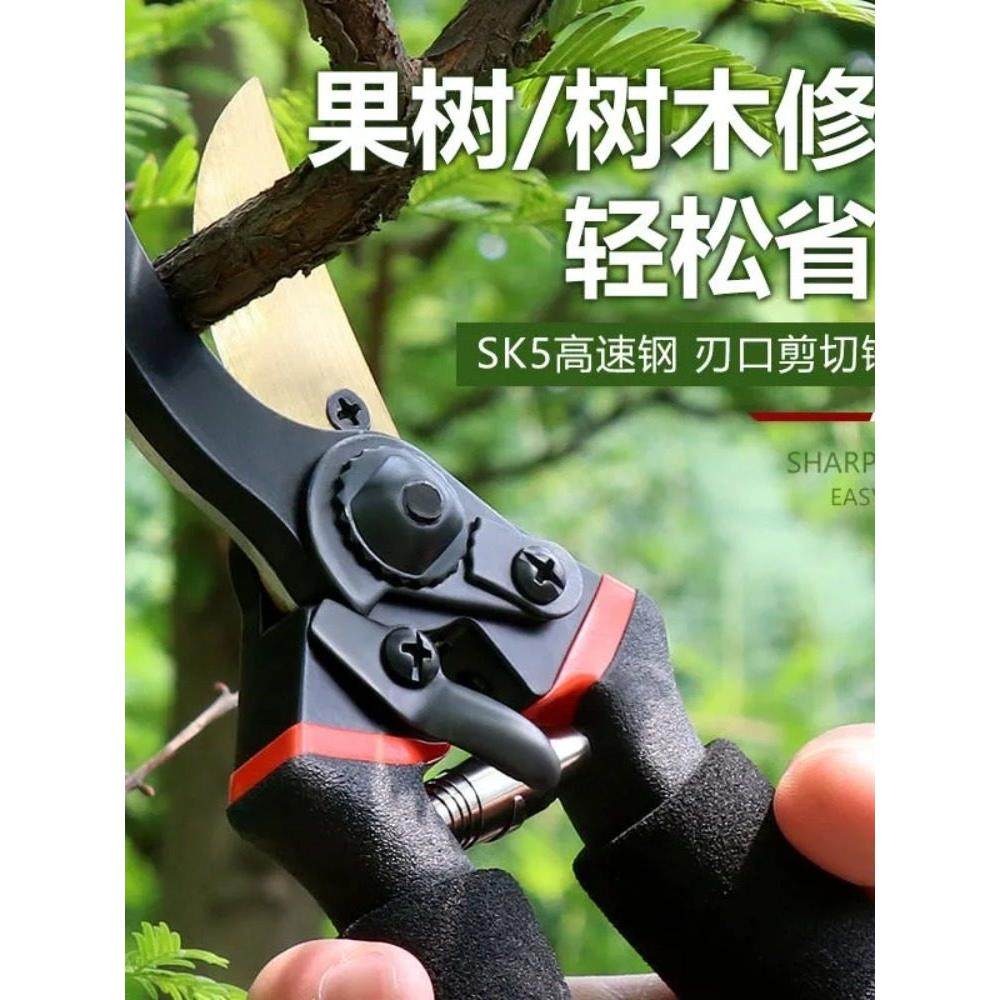【德国工艺】钢剪树剪子果树剪修枝剪刀家用花木葡萄修剪镐强力斧,居家日用,园艺刀剪,淘宝优惠券,粉丝福利购,淘宝优惠卷