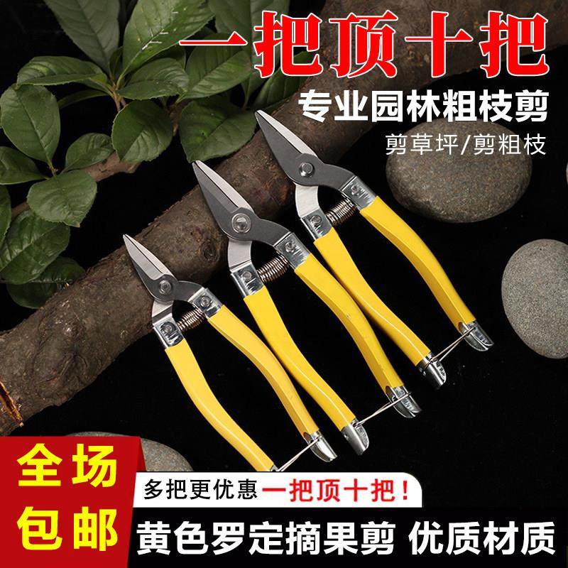 摘果剪园艺修枝剪稀果剪刀水果桔子蔬菜采摘葡萄剪子采果摘果剪刀,居家日用,园艺刀剪,淘宝优惠券,粉丝福利购,淘宝优惠卷
