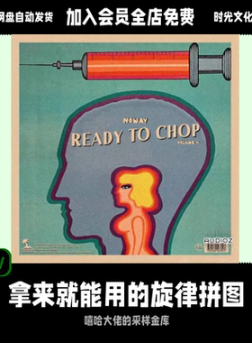 即切即用的旋律碎片Noway  Ready To Chop Vol 2 WAV