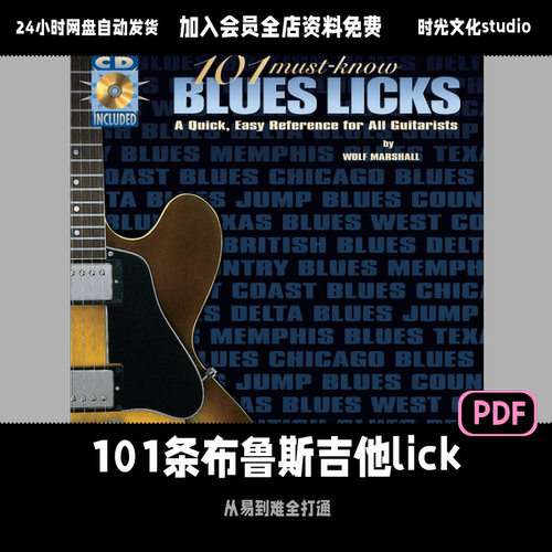 101条布鲁斯电吉他lick教学经典布鲁斯吉他教程英文教程含音频