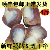 新鲜鸭胗大号鸭胗速冻冷冻鸭胗4斤30个酒店卤菜食材顺丰正常发货