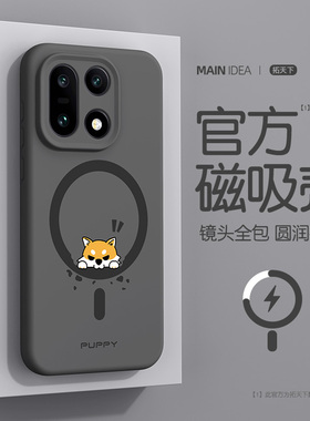 适用一加15手机壳液态硅胶oppo一加十五磁吸oneplus新款1+13高级感防摔十三全包镜头男超好看超薄外壳保护套