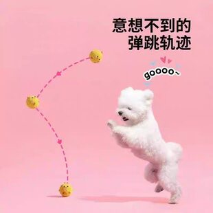 狗狗发声球状玩具互动性训练球犬类全阶段适用宠物用品自嗨玩具