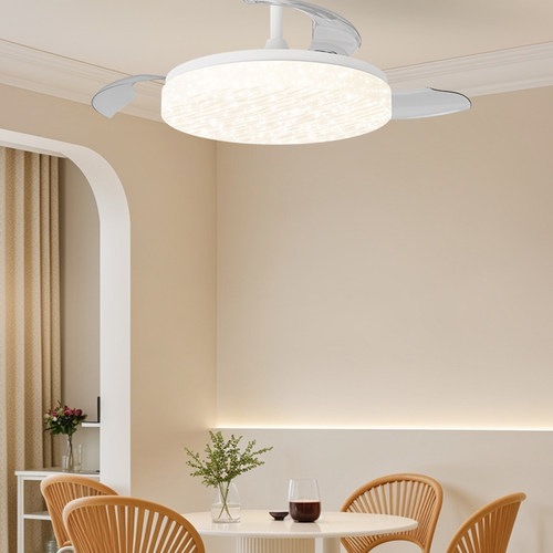 餐厅卧室风扇灯大风电扇一体灯具