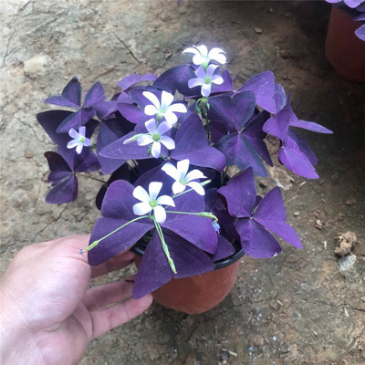 最新优惠券大全 潮趣捡漏