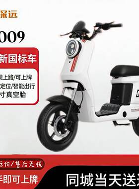 深远009  1.0  家用新国标轻便外卖送餐锂电池电动自行车