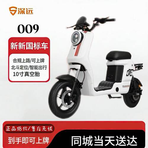 深远009  1.0  家用新国标轻便外卖送餐锂电池电动自行车