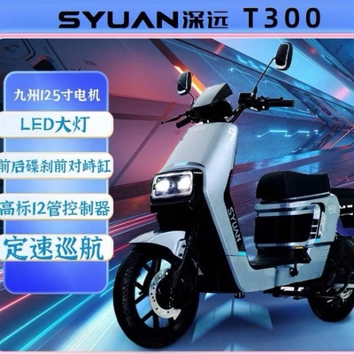 T300豪华版家用电动自行车