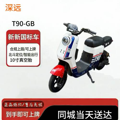 深远T90-GB新国标锂电外卖电动车