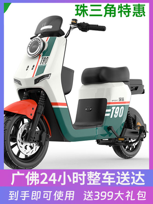 深远T90动力版新国标锂电池电动车外卖版