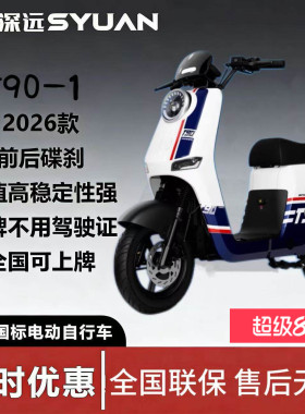 新新国标深远T90-1外卖成人家用代步智能电动车