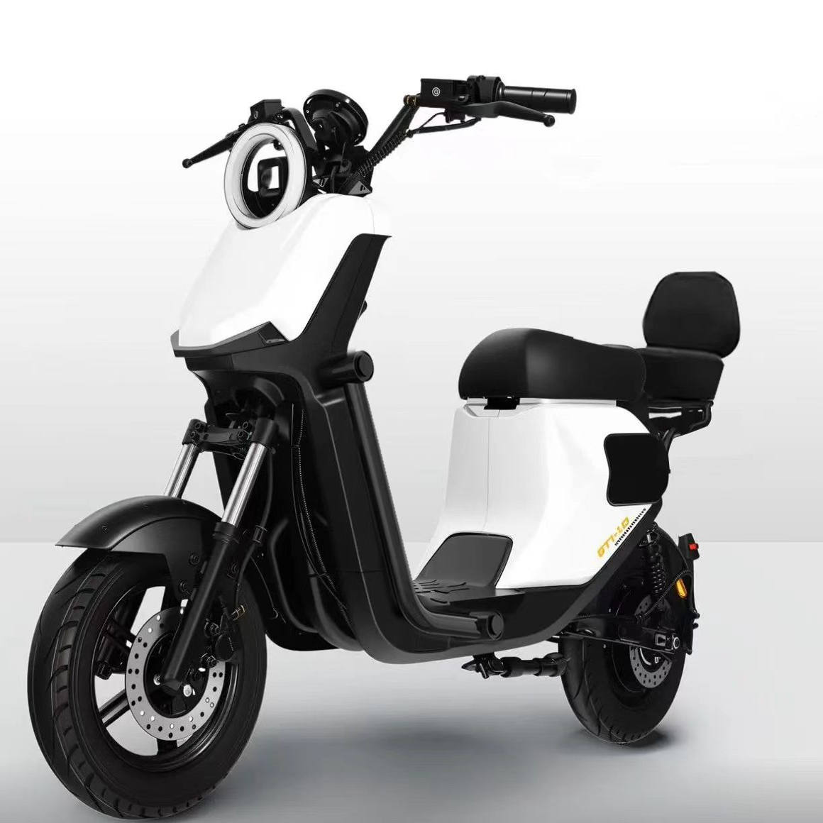 新新国标深远GT1-GB10寸成人家用代步智能电动车