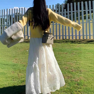 秋冬蕾丝半身裙女春夏季 蛋糕高腰a字伞裙显瘦小个子加绒蓬蓬长裙