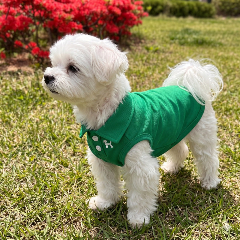 春夏款小型犬绿色polo衫宠物狗宠物服装/雨衣