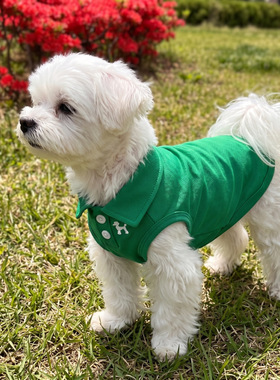 春夏款小型犬绿色polo衫宠物狗狗两脚衣服雪纳瑞比熊泰迪
