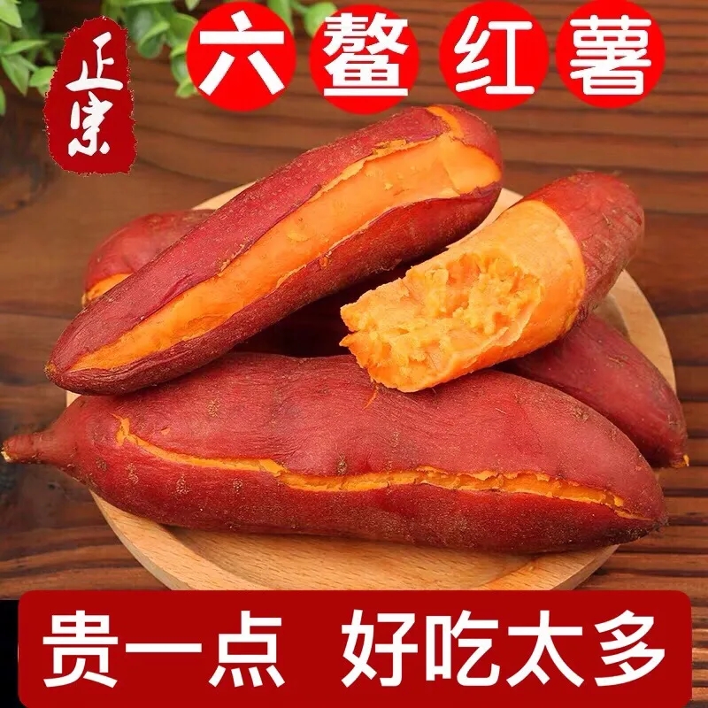 福建六鳌蜜薯9斤红心烟薯地瓜农家自种蔬菜新鲜板栗香蕃薯包邮10在类目 水产肉类/新鲜蔬果/熟食, 新鲜蔬菜/蔬菜制品, 新鲜蔬菜, 番薯中 - 来自Buy2taobao.com提供专业的淘宝代购服务