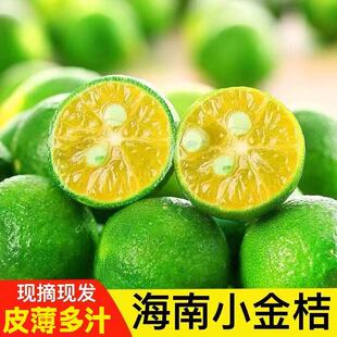 海南正宗小金桔小青桔新鲜小个青柠檬应季奶茶店专用薄皮小青柠