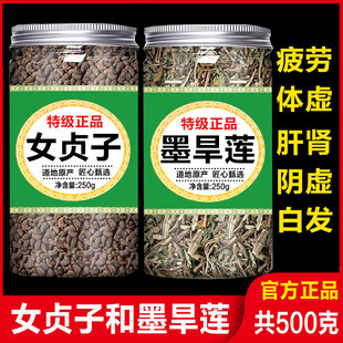 官方正品女贞子和墨旱莲养发乌发组合中药材女贞子茶的功效与作用