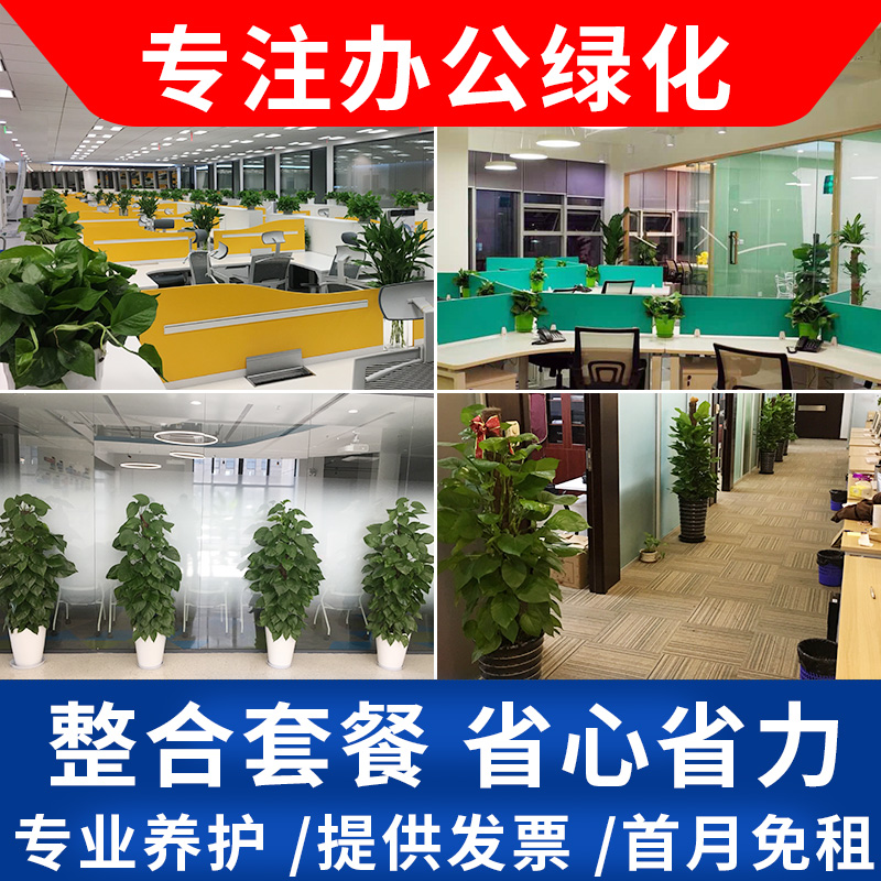 优绿色上海绿植租赁办公室花卉盆栽植物租摆公司绿化