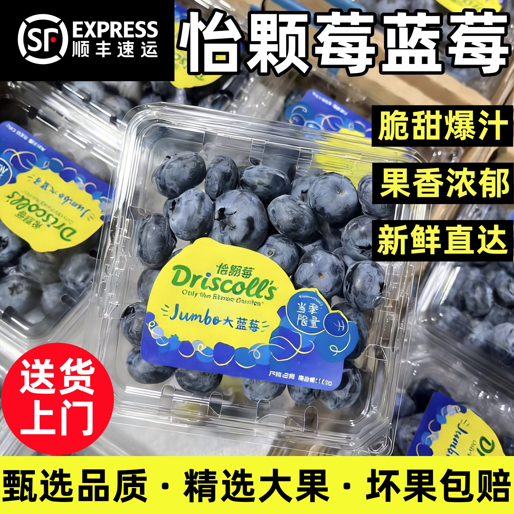 现货云南怡颗莓限量版蓝莓王当季新鲜孕妇水果中果大果脆甜顺丰