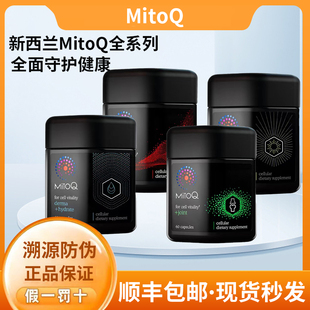 新西兰MitoQ奶蓟草 姜黄素胶囊 经典舒心解压明眸骨赋能盈肤锐智