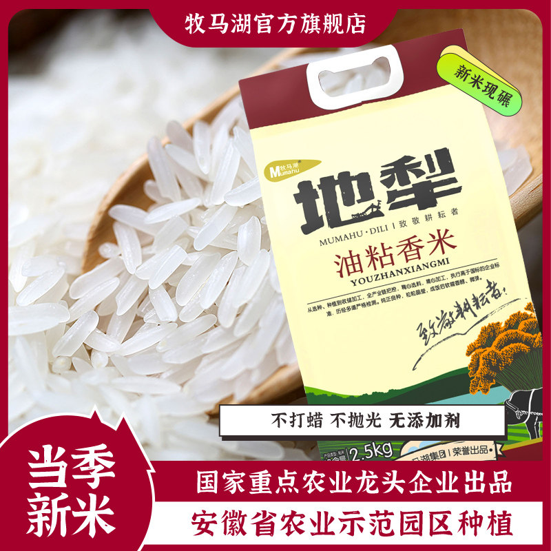 当季新米油粘香米5斤袋装牧马湖大米南方长粒香米籼米丝苗米炒饭