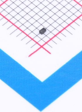 PTC热敏电阻 TMP6131DECR 封装 SON-2(0.6x1)  编带 TMP6131DECR