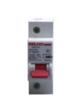 DELIXI德力西 DZ471251D100 大电流断路器 DZ47-125 1P li(D)100A