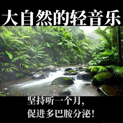 大自然纯音乐白噪音减压疗愈流水声滴水声鸟鸣声乐助眠音乐随身碟