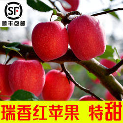 陕西瑞香红苹果西北农林科技大学纯甜全红水果新鲜纯甜白水苹果