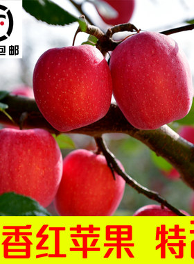白水纯甜苹果香甜瑞香红苹果