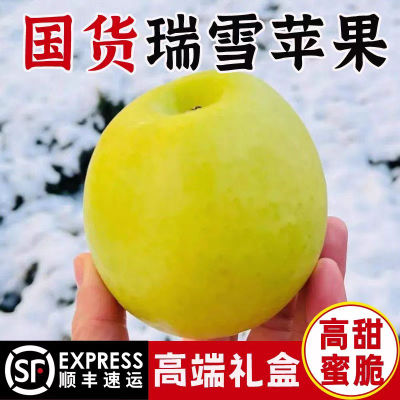 瑞雪苹果白水产地直发青苹果