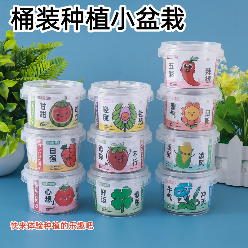 种植盲盒小盆栽儿童生日礼物