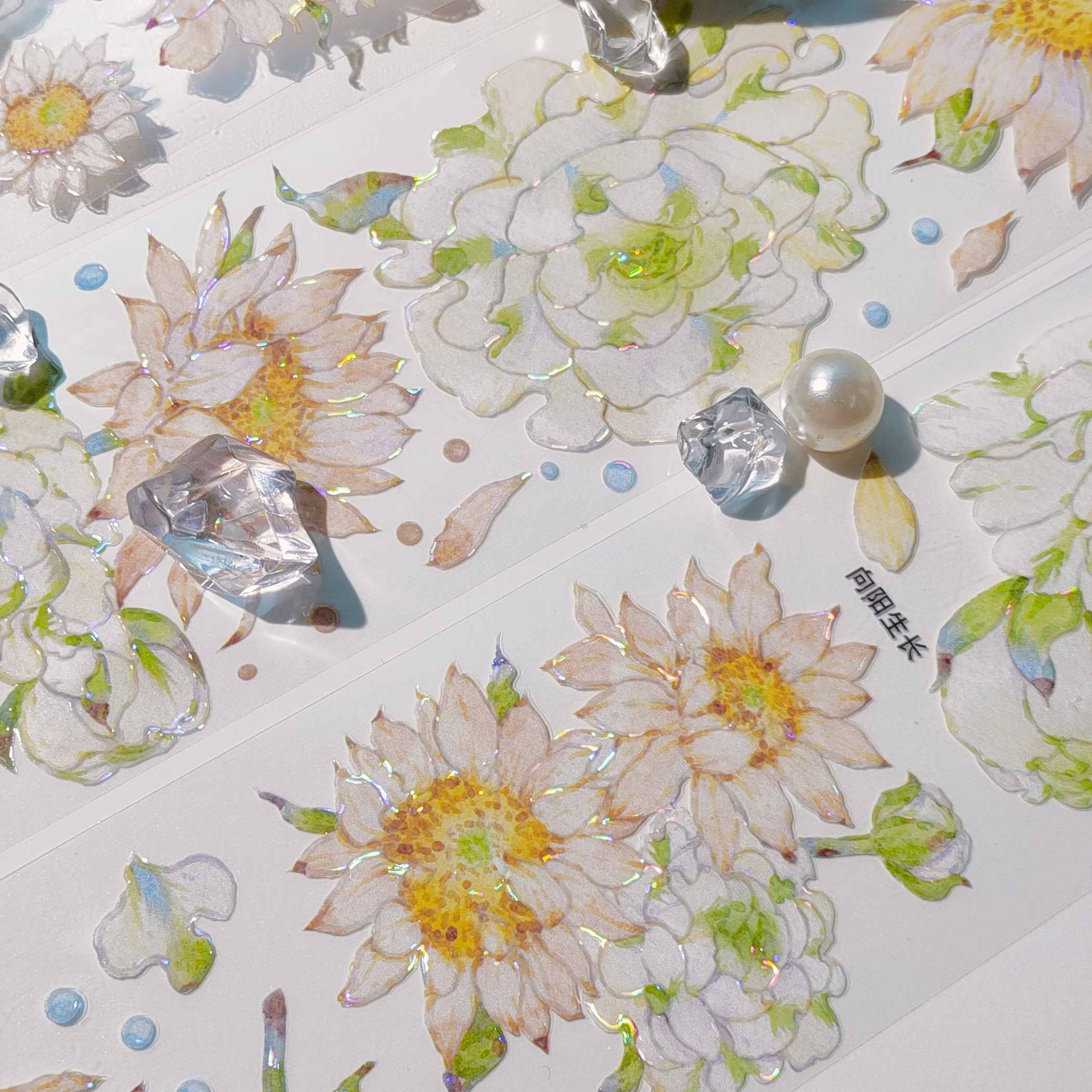 向阳生长手帐pet胶带分装