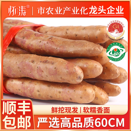 怀涛严选河南焦作垆土铁棍山药