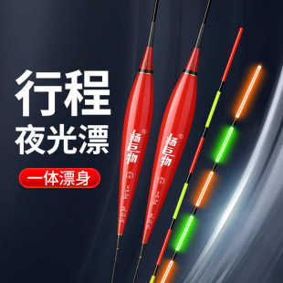 杨巨物D01/W01日夜两用行程不过底漂硬尾青鱼漂电子漂夜光行程漂