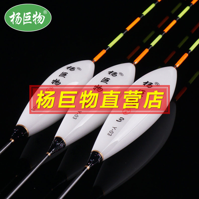 水库漂黑坑草鱼加粗尾
