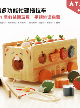 实木抓虫拉车宝宝多功能益智玩具