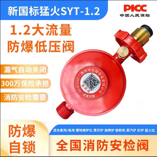 新国标家用液化气煤气减压阀燃气罐灶自闭阀低压安全阀自动关闭