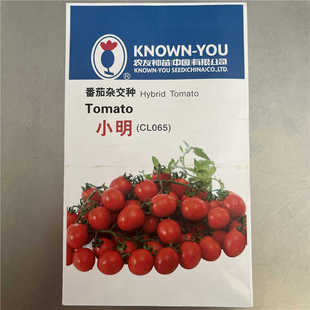 小明小番茄种子农友西红柿种籽春秋季基地杂交樱桃圣女果种孑