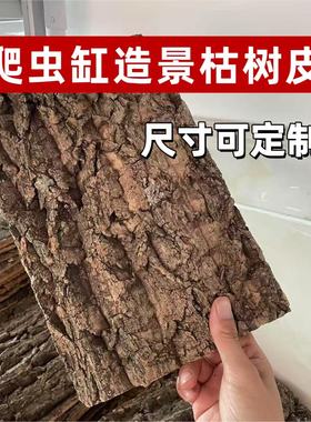 香槟软木树皮天然枯树皮爬宠缸造景背景板植物种植挂板尺寸可定制