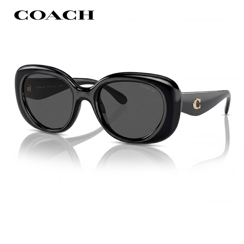 COACH蔻驰2025年新品时尚板材太阳镜女OHC8391个性潮流椭圆形墨镜
