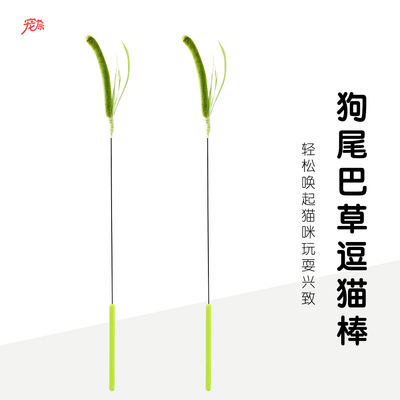 狗尾巴草逗猫棒长杆耐咬猫玩具自嗨解闷手持猫咪玩具小猫逗猫神器