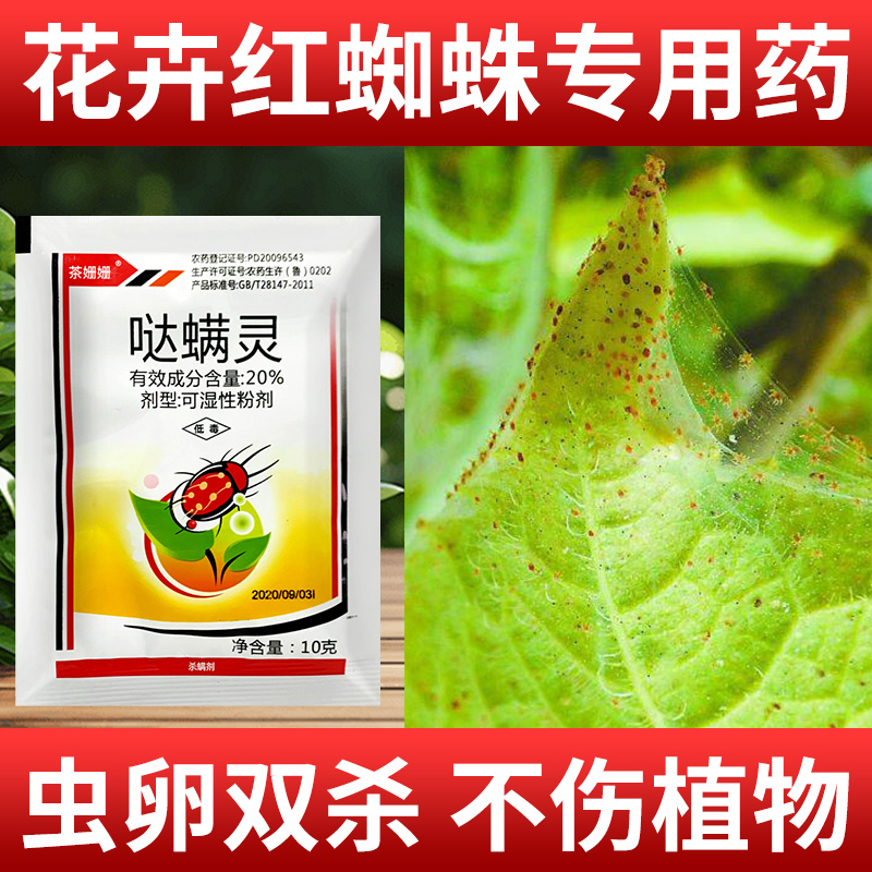 哒螨灵红蜘蛛专用药虫卵双杀