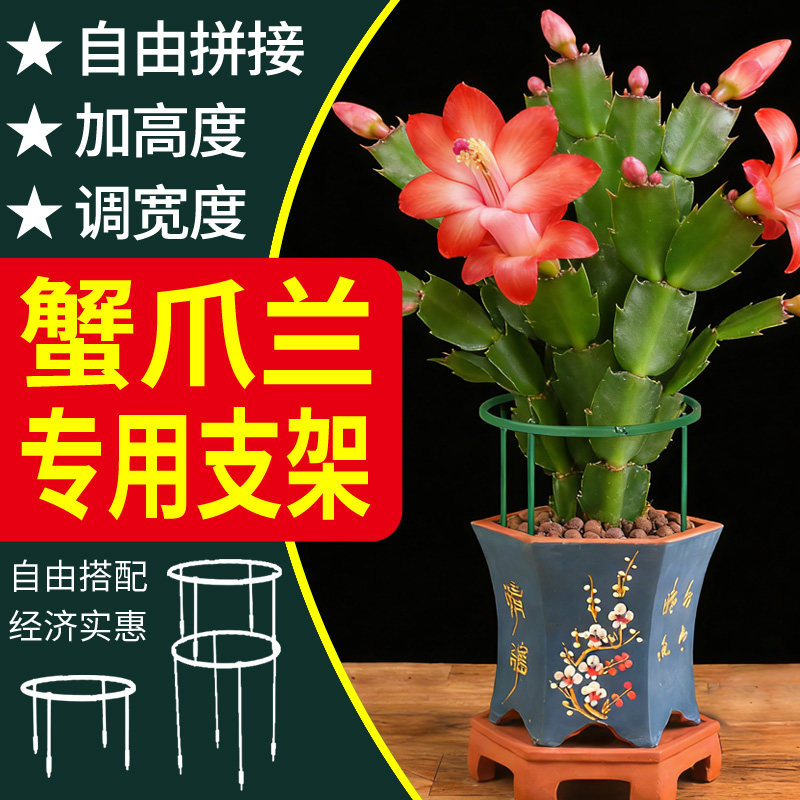【小贵！护花护叶，自由增高】图片