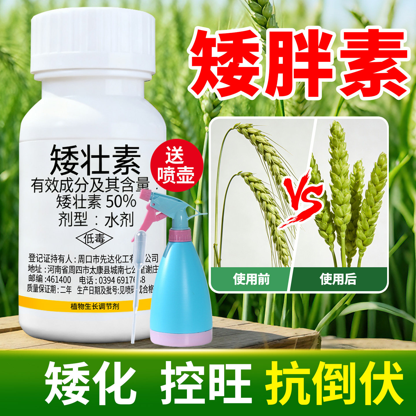 【3天矮化促生长！】矮壮素