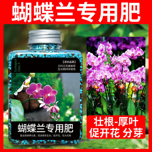 蝴蝶兰颗粒缓释肥促进开花