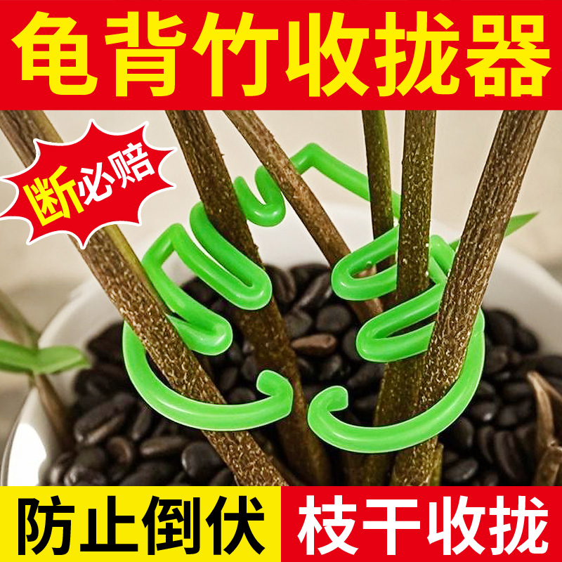 植物防倒伏支架龟背竹支撑杆花支撑架枝干收拢架绿植花架固定神器