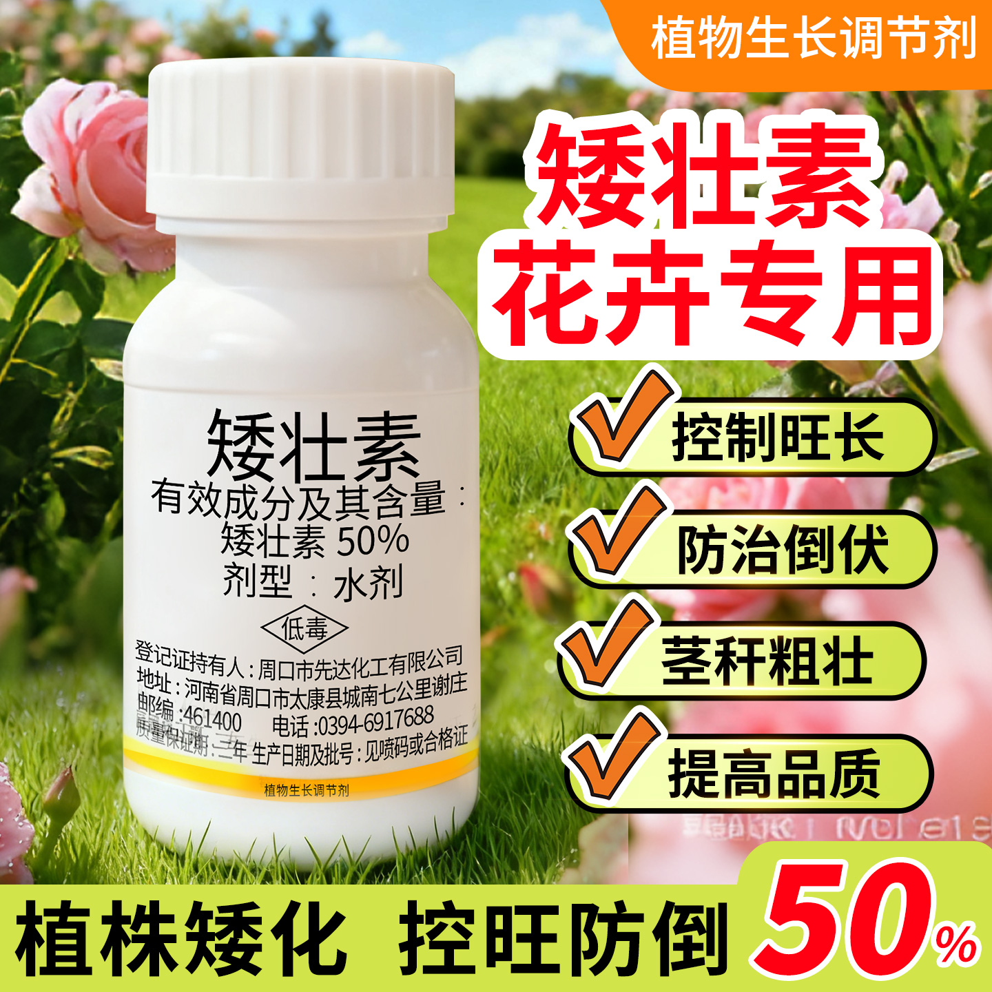 【花卉专用水仙蔬菜】矮壮素