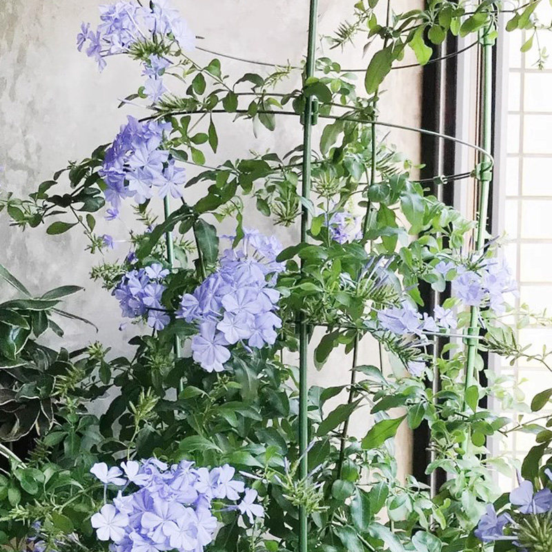 三角梅爬藤架固定器阳台花架造型支架铁线莲山乌龟三角梅造型支架